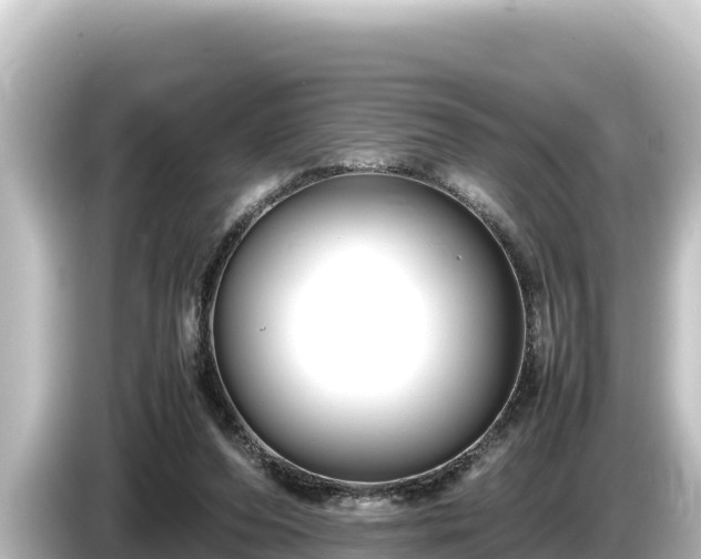 X0000085310208200703161458