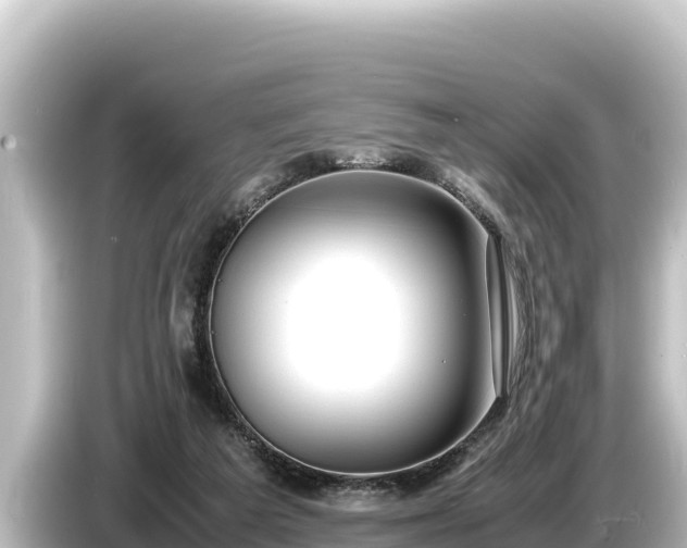 X0000085310209200703161458