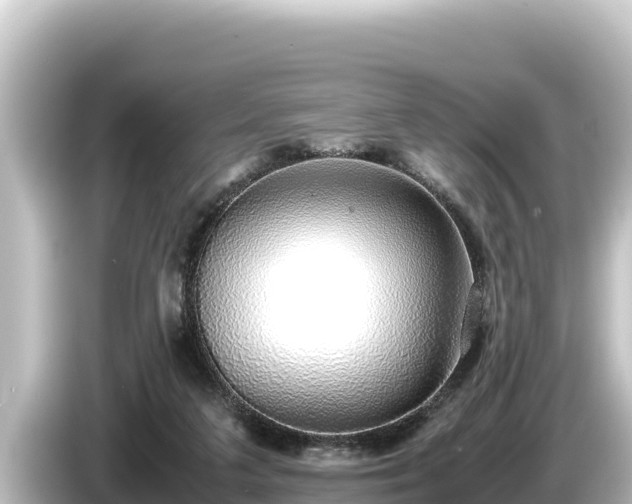 X0000085310211200703161458