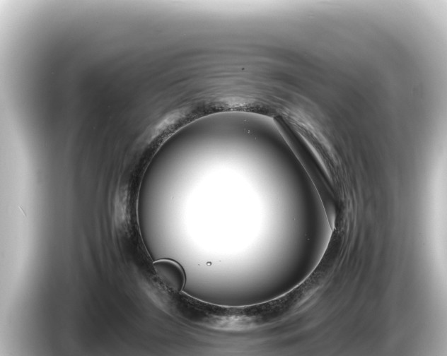 X0000085310212200703161458