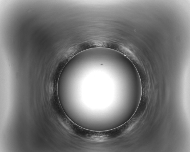 X0000085310213200703161458