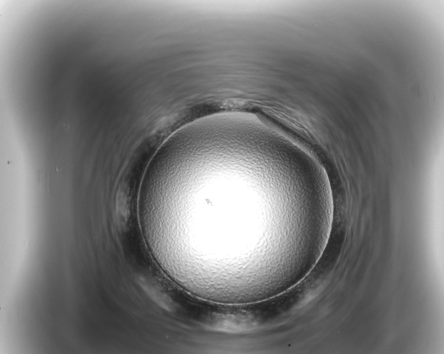 X0000085310215200703161458