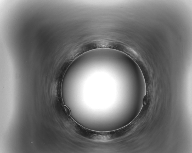 X0000085310217200703161458