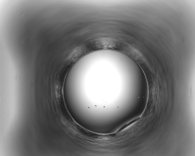 X0000085310218200703161457