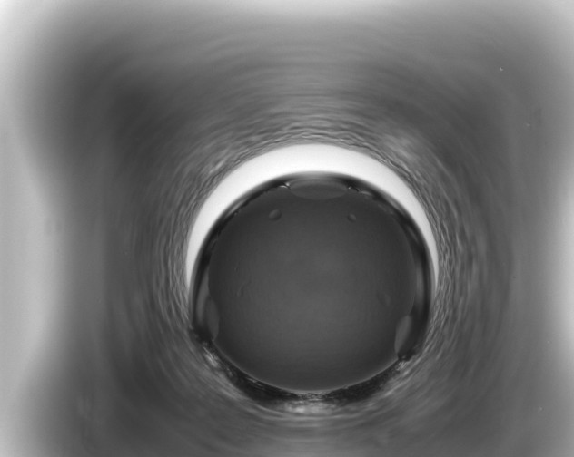 X0000085310219200703161457