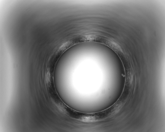 X0000085310220200703161457