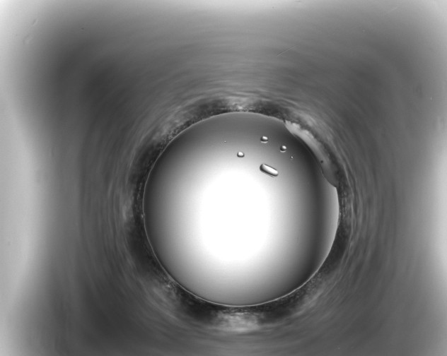 X0000085310221200703161457