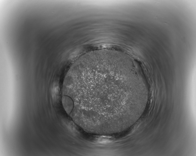 X0000085310222200703161457
