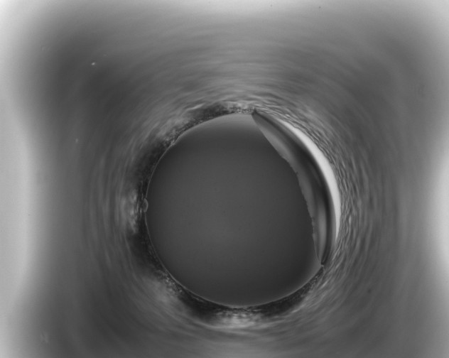 X0000085310223200703161457