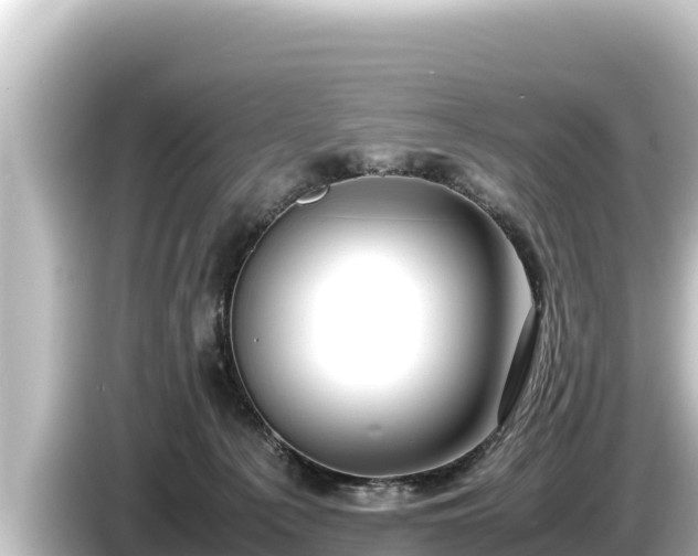 X0000085310225200703161457