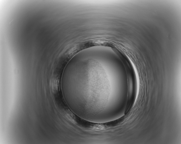 X0000085310227200703161457