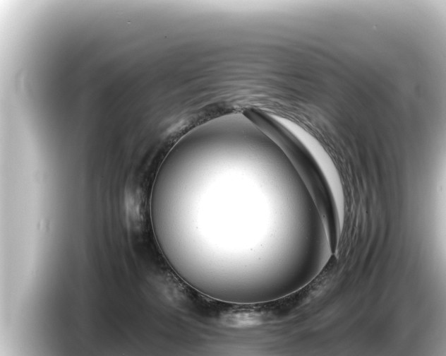 X0000085310228200703161457