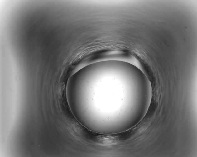 X0000085310229200703161457