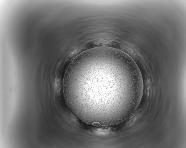 X0000085310232200703161457
