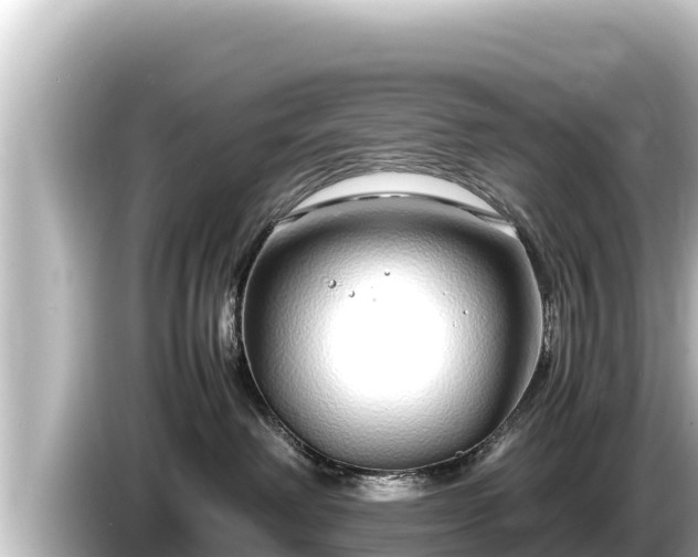 X0000085310238200703161457