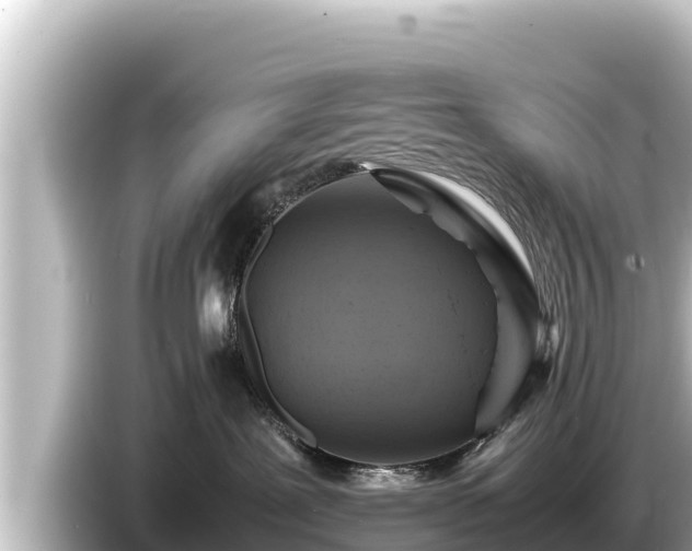 X0000085310239200703161457