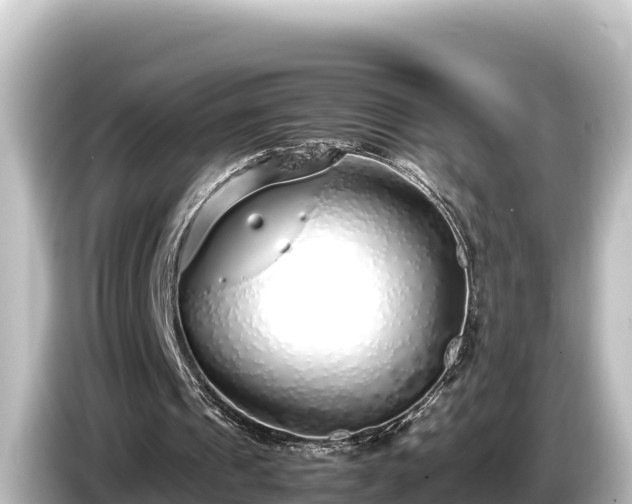 X0000085310241200703161457