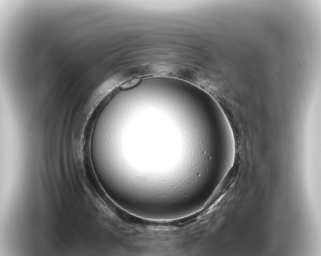 X0000085310242200703161457