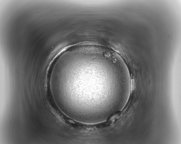 X0000085310243200703161457