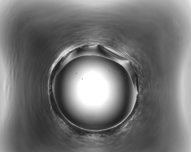X0000085310244200703161457