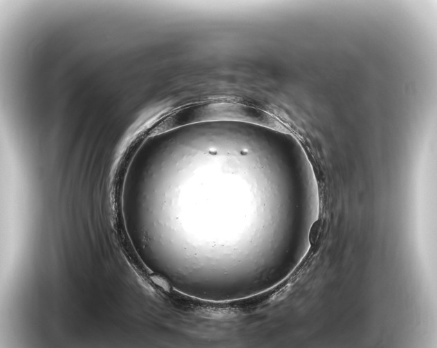 X0000085310245200703161457