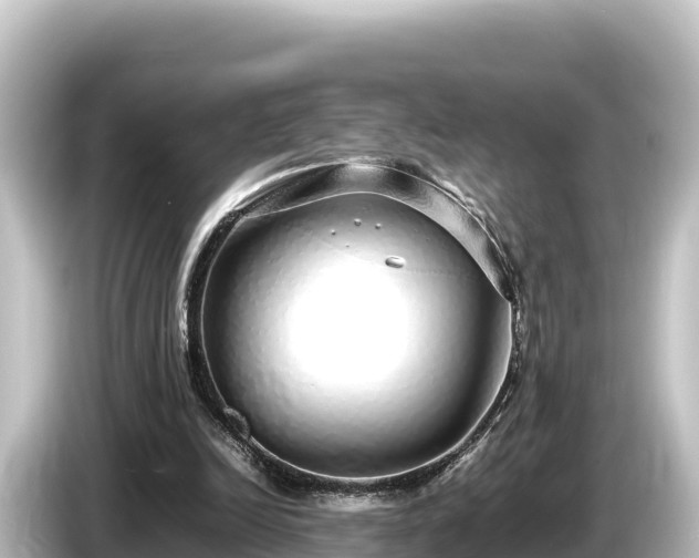 X0000085310246200703161457