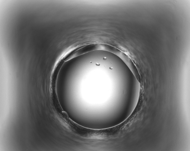 X0000085310248200703161457