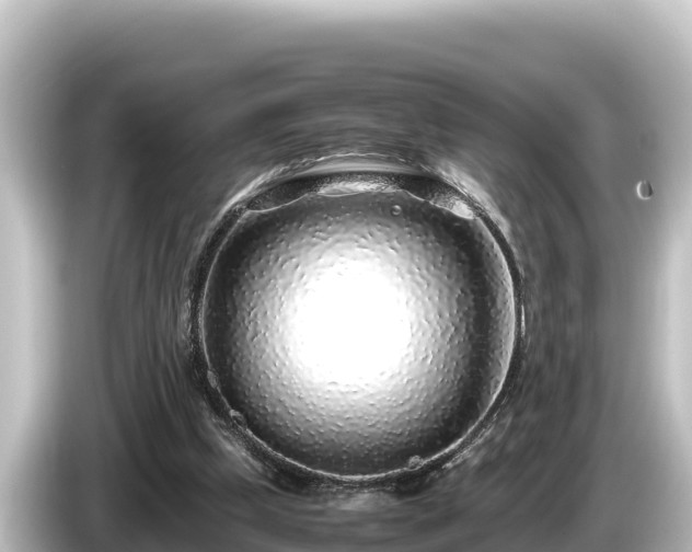 X0000085310249200703161457