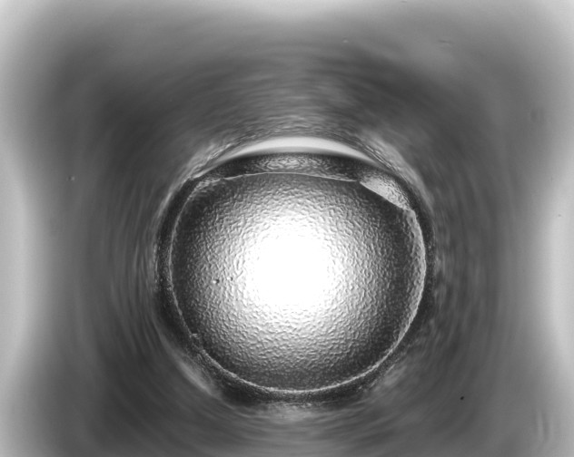 X0000085310250200703161457