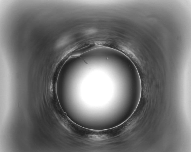X0000085310251200703161457