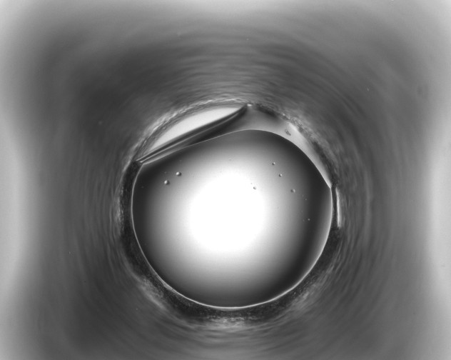 X0000085310252200703161457