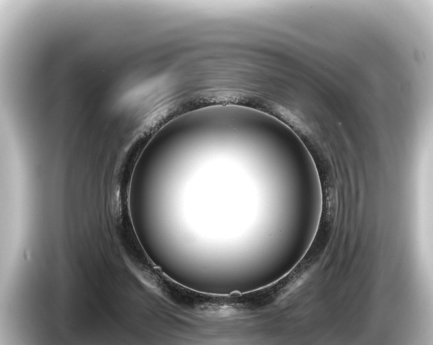 X0000085310254200703161457
