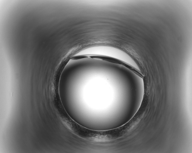 X0000085310256200703161457