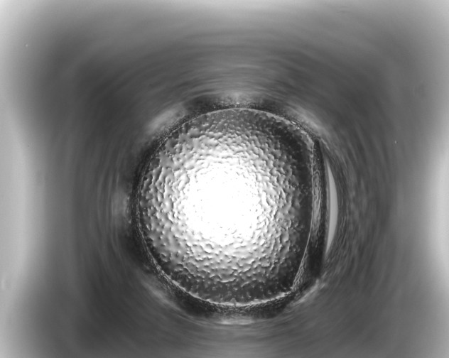 X0000085310258200703161457