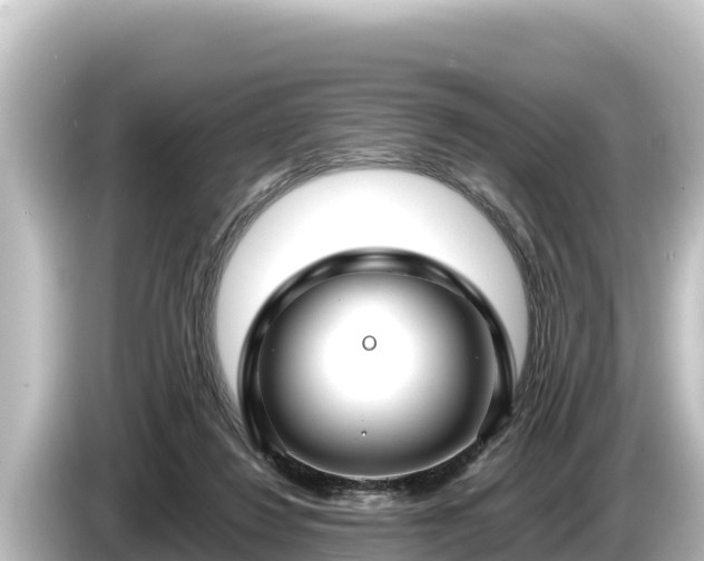X0000085310260200703161457