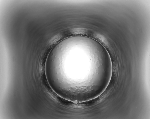 X0000085310261200703161457
