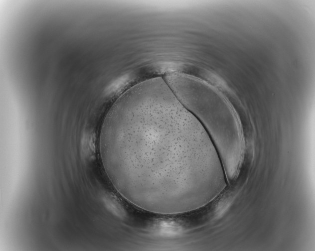 X0000085310264200703161457