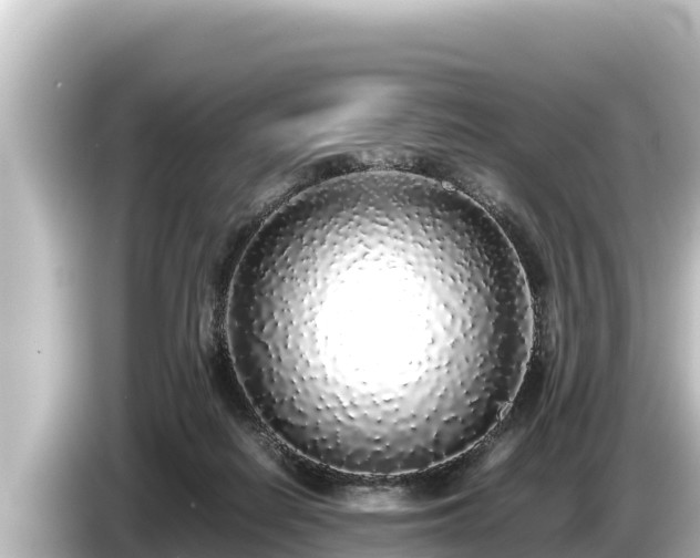 X0000085310266200703161457