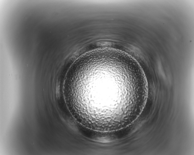 X0000085310267200703161457