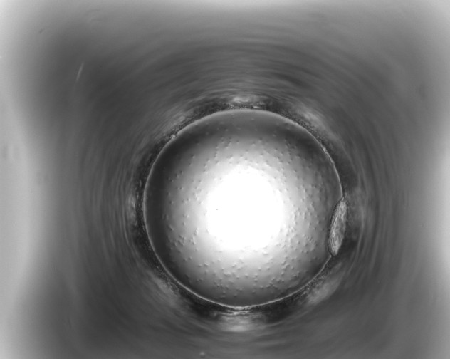X0000085310269200703161457