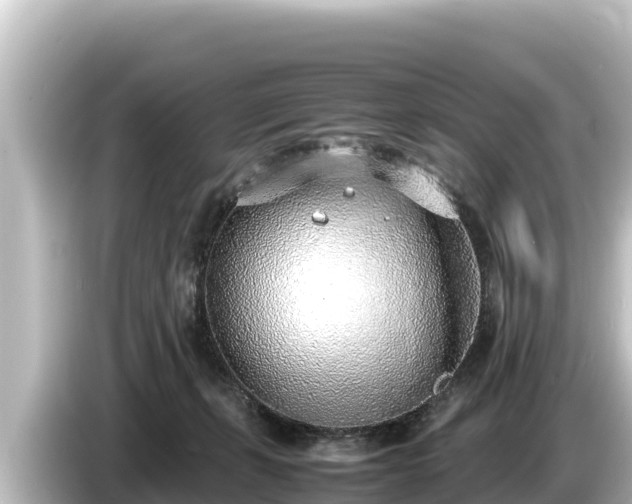 X0000085310271200703161457