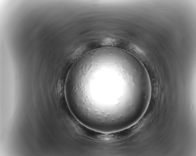 X0000085310273200703161457