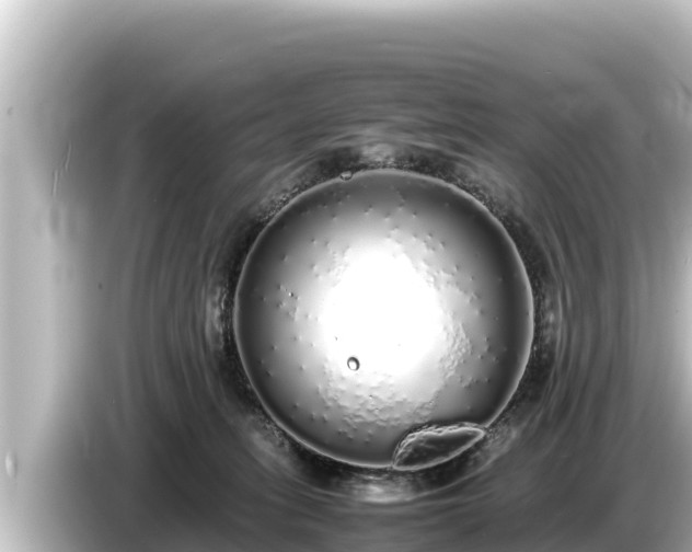 X0000085310275200703161457