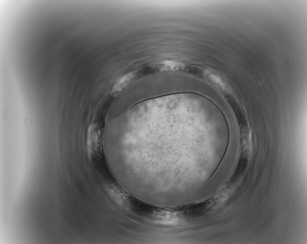 X0000085310276200703161457