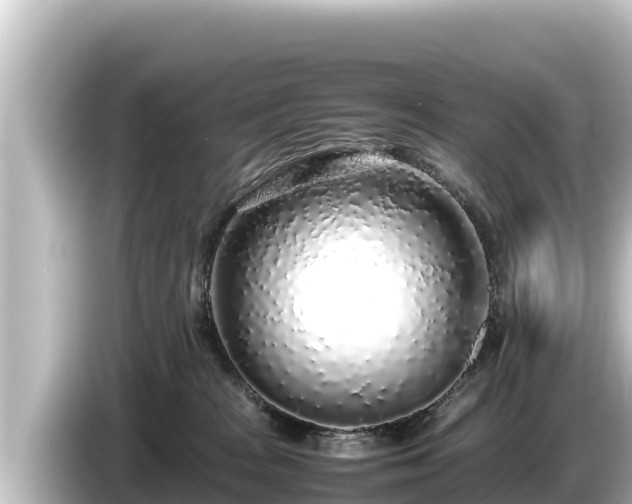 X0000085310277200703161457