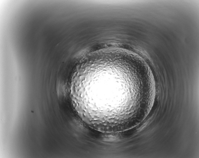 X0000085310285200703161457