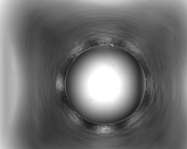 X0000085310287200703161457