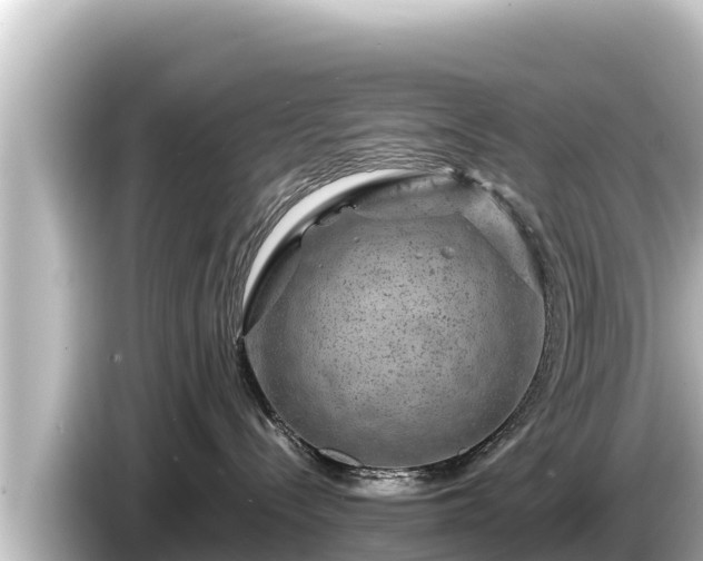 X0000085310288200703161457
