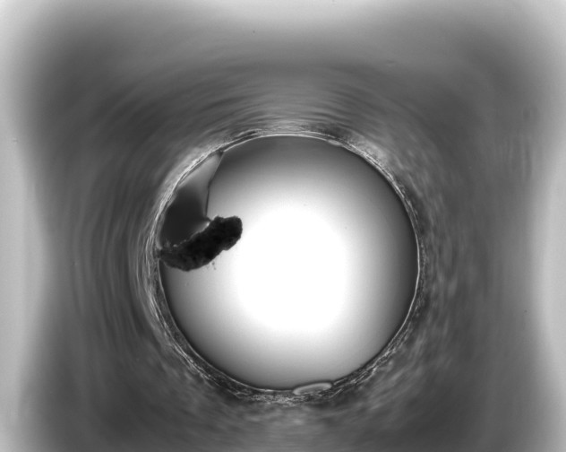 X0000085310289200703161457