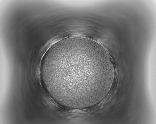 X0000085310290200703161457